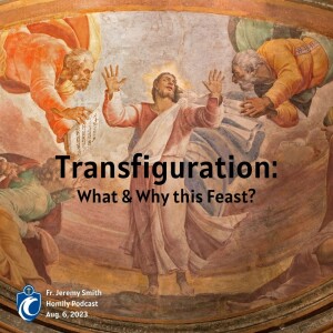 Transfiguration: What & Why this Feast? (Fr. Jeremy Smith, 8/6/2023)