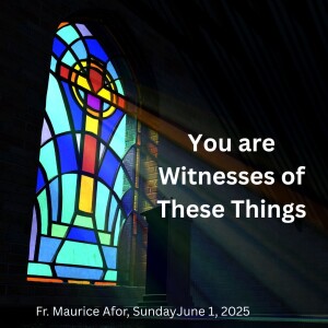 You are Witnesses of These Things (Fr. Maurice Afor, 6/1/2025)