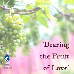Bearing the Fruit of Love (Fr. Erik Arnold, 5/2/2021)