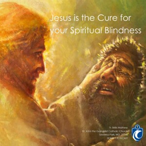 Jesus is the Cure for Your Spiritual Blindness (Fr. Brillis Mathew, 3/19/2023)
