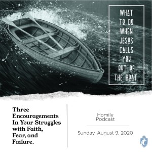 What to Do When Jesus Calls You Out of the Boat (Fr. Erik Arnold, 8/9/2020)
