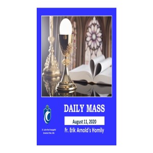 Daily Mass (Fr. Erik Arnold, 8/11/2020)