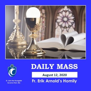 Daily Mass (Fr. Erik Arnold, 8/12/2020)