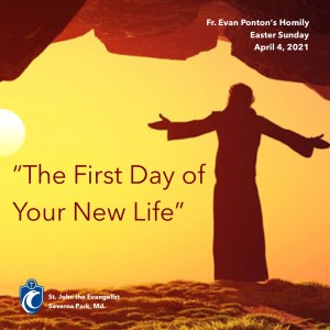 The First Day of Your New Life (Fr. Evan Ponton, Easter Sunday, 4/4/2021)