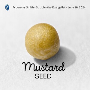 Mustard Seed (Fr. Jeremy Smith, 6/16/2024)