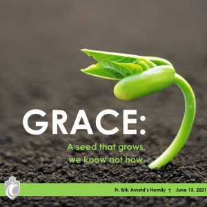Grace: A seed that grows, we know not how (Fr. Erik Arnold 6/13/2021)