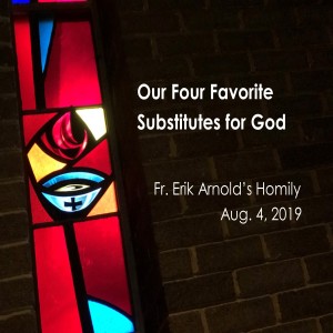 Our Four Favorite Substitutes for God (Fr. Erik Arnold, 08/04/2019)
