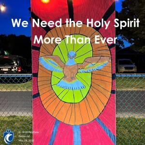We Need the Holy Spirit More Than Ever (Fr. Brillis Mathew, 5/29/2023)