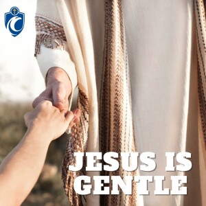 Jesus is Gentle (Fr. Brillis Mathew, 7/9/2023)