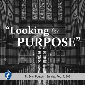 Looking for Purpose (Fr. Evan Ponton, 2/7/2021)