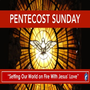 Setting Our World on Fire With Jesus' Love (Fr. Michael Rubeling, 5/31/2020)