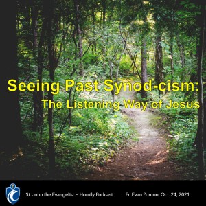 Seeing Past Synod-cism: The Listening Way of Jesus (Fr. Evan Ponton, 10/24/2021)