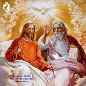 Trinity Sunday (Fr. Jeremy Smith, 6/14/2025)