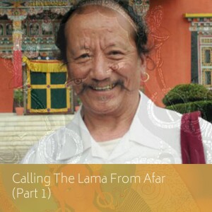 Calling The Lama From Afar (Part 1)