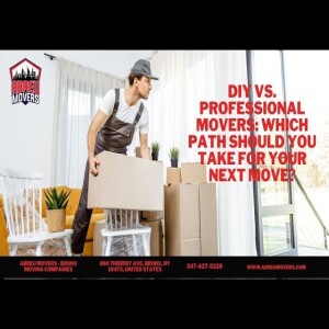 DIY Vs. Professional Movers: Which Path Should You Take for Your Next Move?