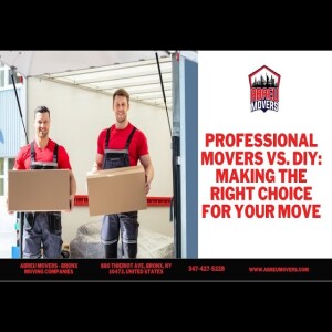 Professional Movers Vs. DIY: Making the Right Choice for Your Move