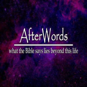 AfterWords:  ”About What‘s Next”  by Pastor Dan Martinson