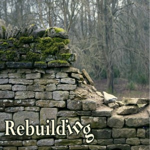 Rebuilding:  