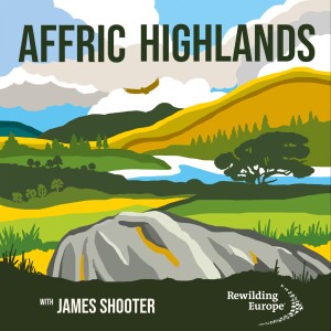#1 Affric Highlands - Scotland 🏴󠁧󠁢󠁳󠁣󠁴󠁿