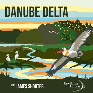 #14 - Danube Delta - Ukraine 🇺🇦 & Romania 🇷🇴