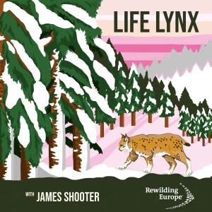 #11 LIFE Lynx - Slovenia 🇸🇮