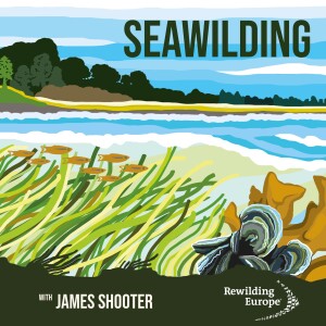 #2 Seawilding - Scotland 🏴󠁧󠁢󠁳󠁣󠁴󠁿