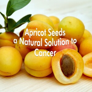 Apricot Seeds a Natural Solution to Cancer