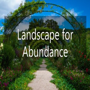 Landscape for Abundance