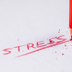 The Power of Stress - Stress Inoculation in Procedural Training