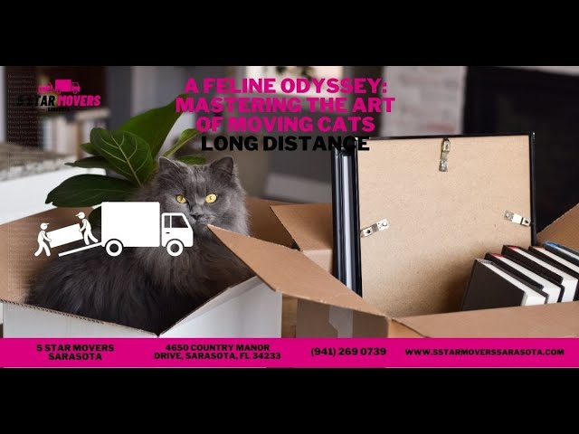 5 Star Movers Sarasota