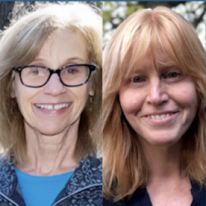 The Powerful Effects of Mentoring on Teachers: Evidence Based Best Practices with Ann Epstein and Julia Volkman