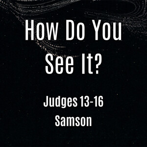 How do you see it?  |  Samson (Judges 13-16)