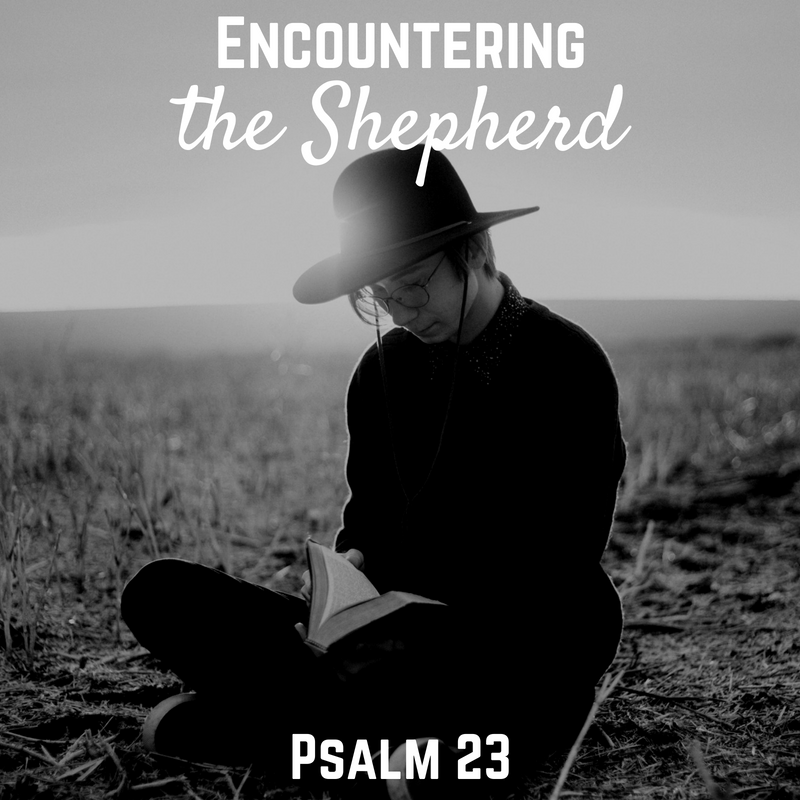 Encountering the Shepherd | Psalm 23 