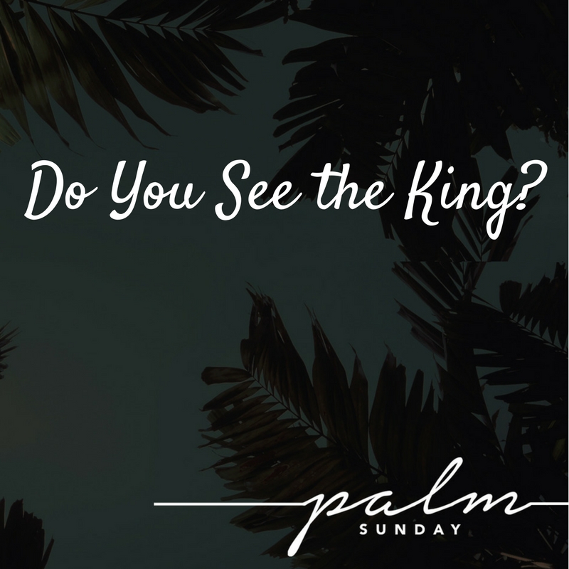 Do You See the King?  |  Mark 11