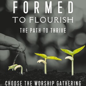 Choose the Worship Gathering