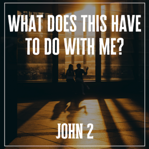 What does this have to do with me? | John 2