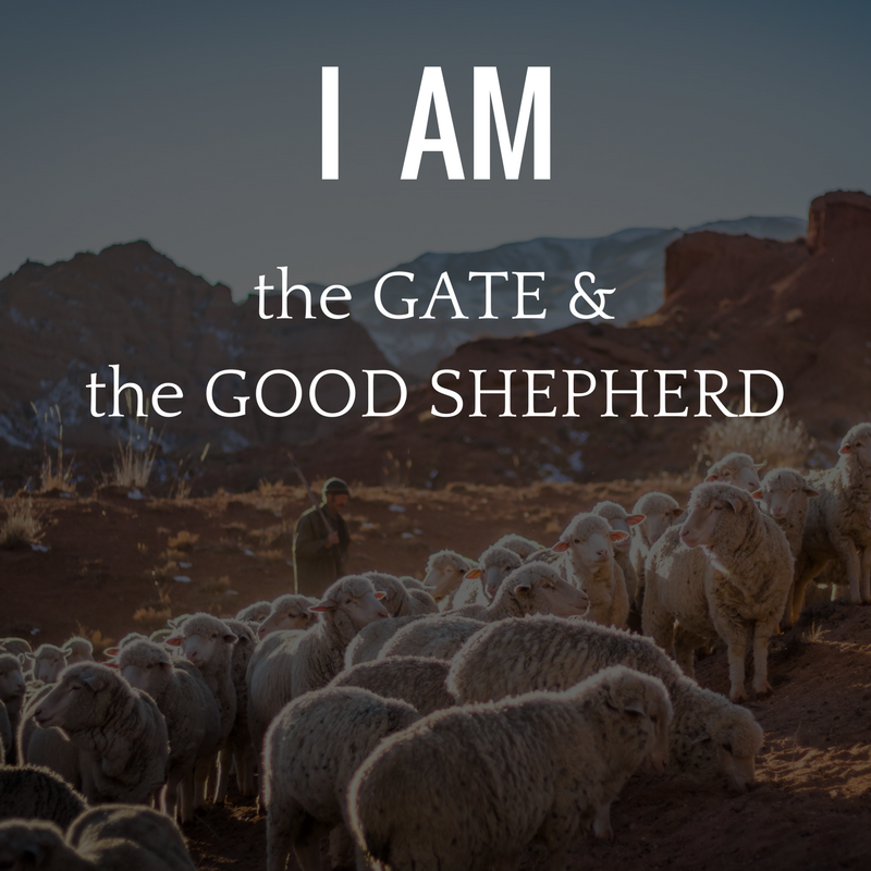 New City Fellowship Sermons