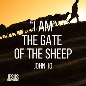 I AM The Gate of the Sheep