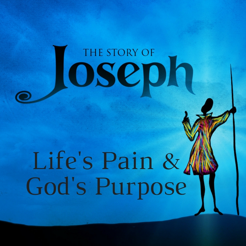 Life's Pain & God's Purpose