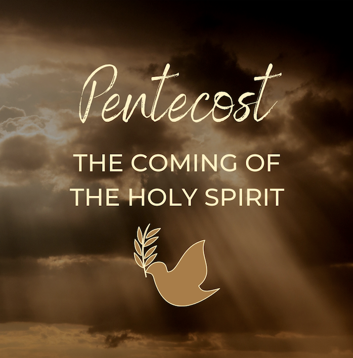 New City Fellowship Sermons