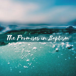 The Promises in Baptism