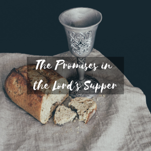The Promises in the Lord's Supper