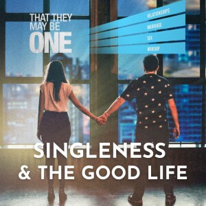 Singleness and the Good Life