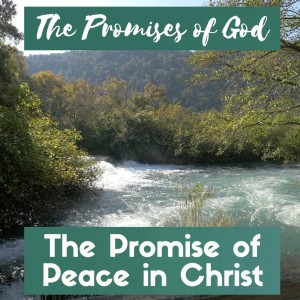 The Promise of Peace in Christ | Ephesians 2:11-22