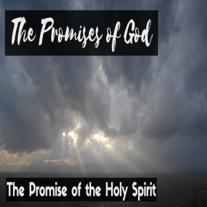 The Promise of Pentecost | Romans 8