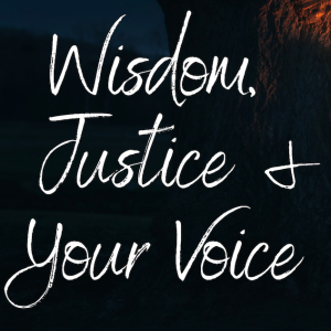 Skill Set #4: Wisdom, Justice and your Voice