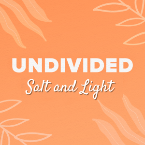 Undivided#2: Salt and Light