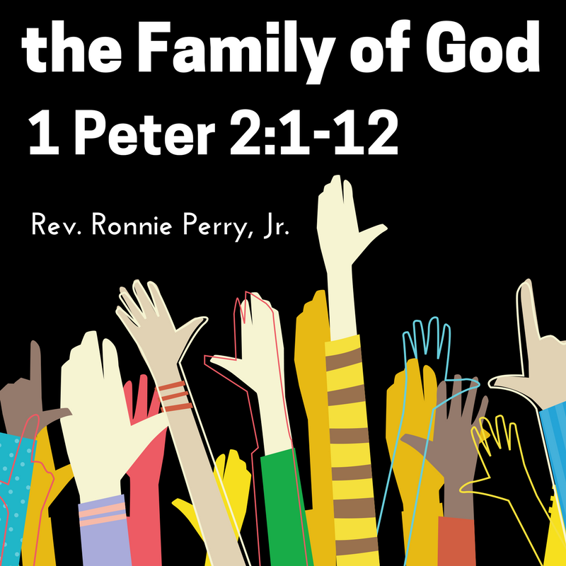 The Family of God | 1 Peter 2:1-12
