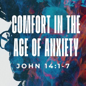 Comfort in the Age of Anxiety