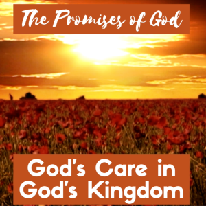 The Promise of God’s Care in God’s Kingdom | Luke 12
